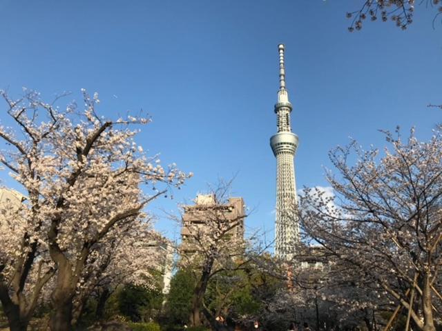 Sky Tree Inn Tokio Exterior foto
